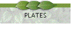 PLATES